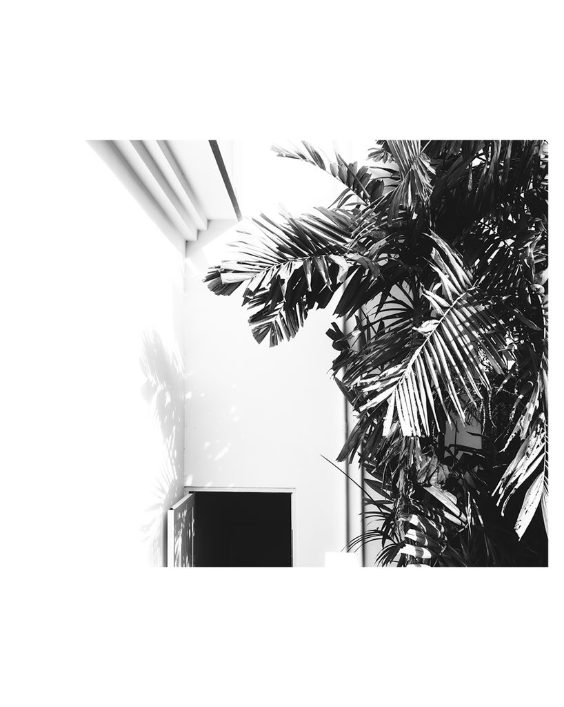 moments in Puerto Rico