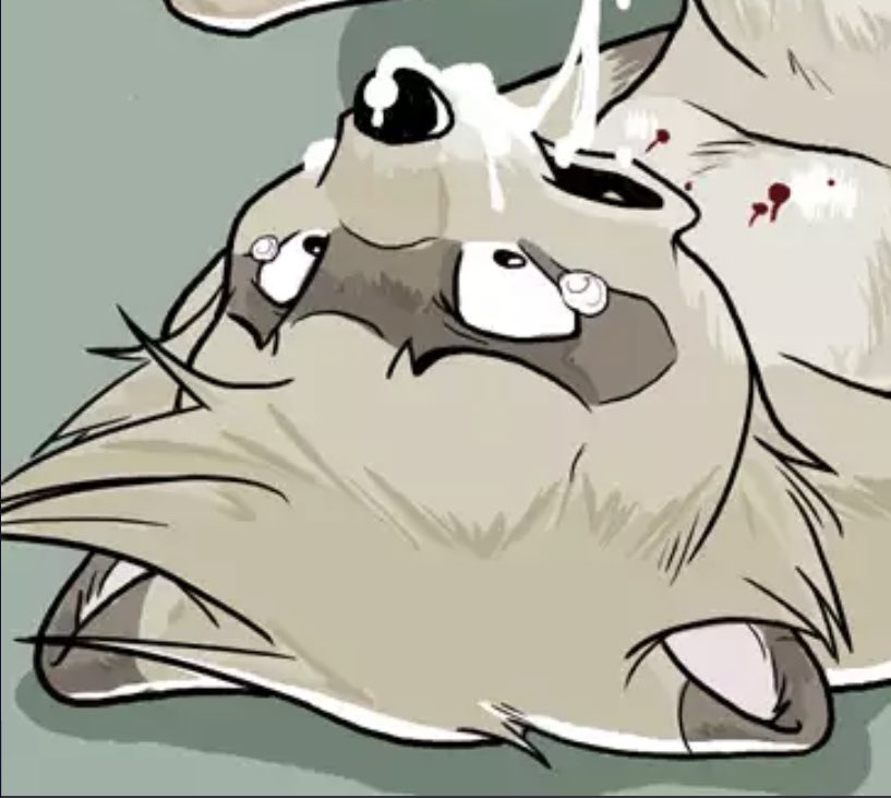 Raccoon and cheese grater. Cheese Grater Raccoon furry Full. Cheese Grater e621. Сырные фурри. Е621 furry