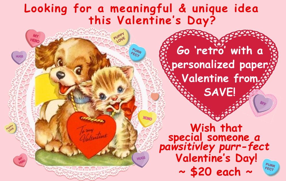 SAVE Animal Shelter tweet media