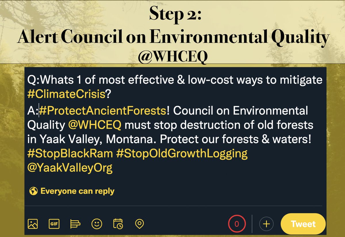 Q:Whats 1 of most effective & low-cost ways to mitigate #ClimateCrisis? A:#ProtectAncientForests! Council on Environmental Quality @WHCEQ must stop destruction of old forests in Yaak Valley, Montana. Protect our forests & waters! #StopBlackRam #StopOldGrowthLogging @YaakValleyOrg