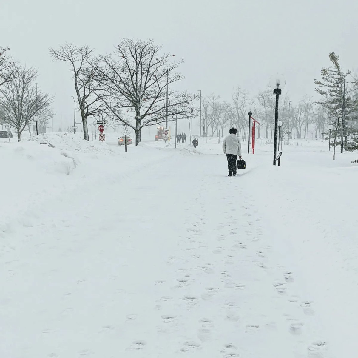 ChrisTheWebDev's tweet image. Not much has changed on the way back to my car. Still snowing... 😭