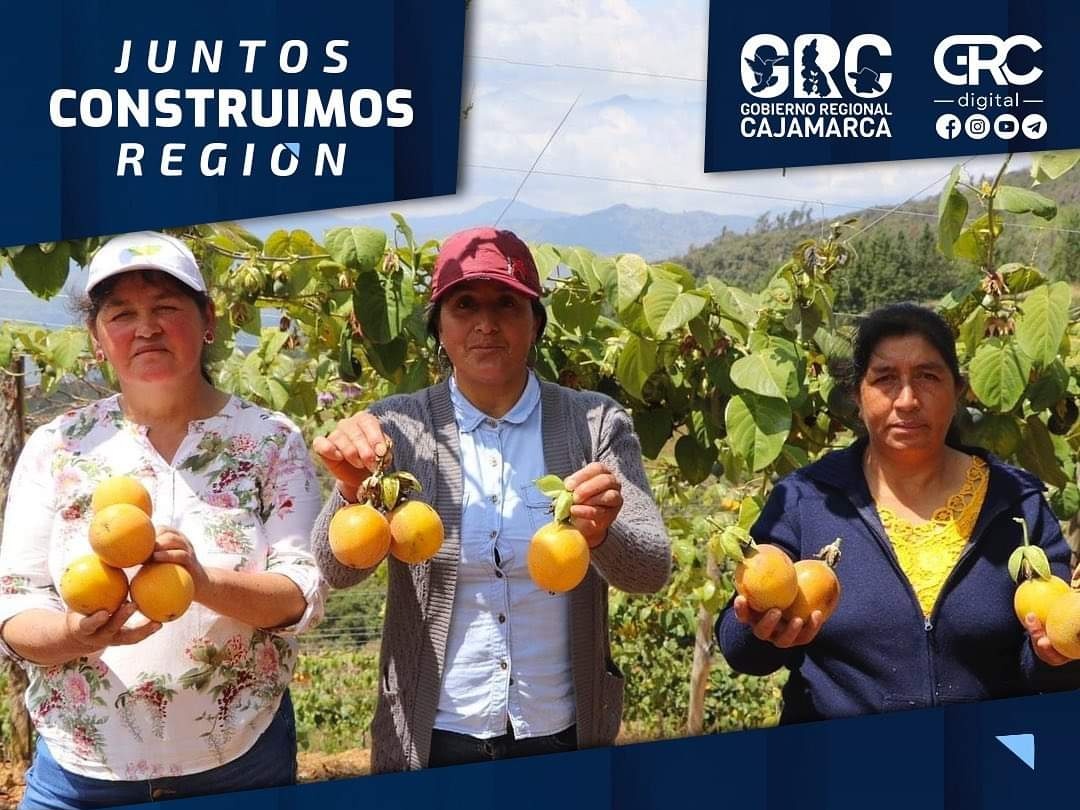gob_reg's tweet photo. 🤝El Gobierno Regional de Cajamarca fortalece la producción de granadilla en San Ignacio, Jaén y Santa Cruz.
👉🏻El objetivo es llegar a ser la región líder en producción de este fruto a escala nacional. https://t.co/MDYep7kISz https://t.co/LB6IvUNpZZ