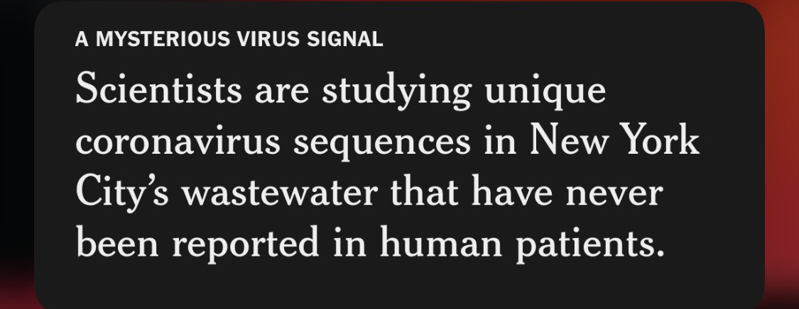 stambleman7's tweet photo. NYC coronavirus is just built different 😤 https://t.co/ra5OpJeOTI