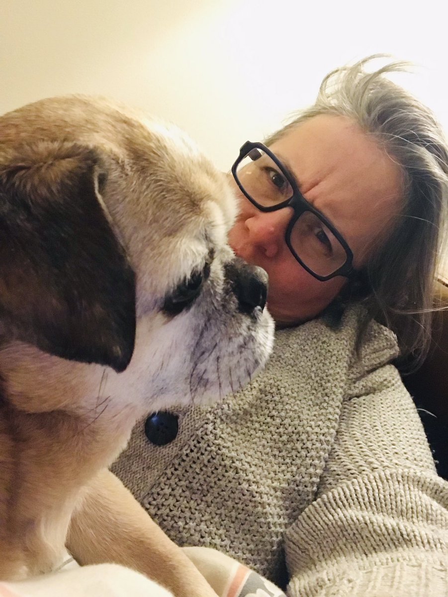 el_jay_jr's tweet photo. Someone is pretending they haven’t had dinner yet… #Pugnacious #pugs https://t.co/60nVbXSyGc