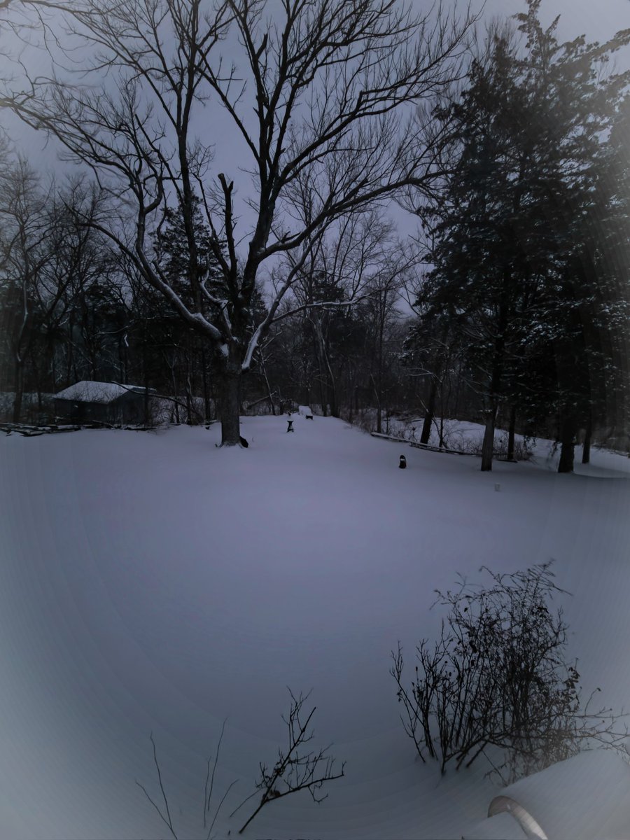 mkostial05's tweet image. The snowy view from off my back deck. @SamsungMobileUS @SamsungMobile @SamsungUS @Samsung #withGalaxy #GalaxyS21plus #ProMode #TeamGalaxyCreator #TeamGalaxy