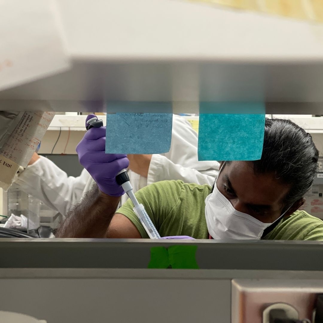 StanfordPlastic's tweet photo. 🌟🩺 ACAPS Residency Program Spotlight Series 🩺🌟
🥼🧪 This week we're showcasing our lab spaces! Swipe left to see some of the workspaces our researchers utilize here at @StanfordPlastic.
#acapsedu #residentspotlightseries #plasticsurgery
#labspaces https://t.co/JPaXQnO3wt