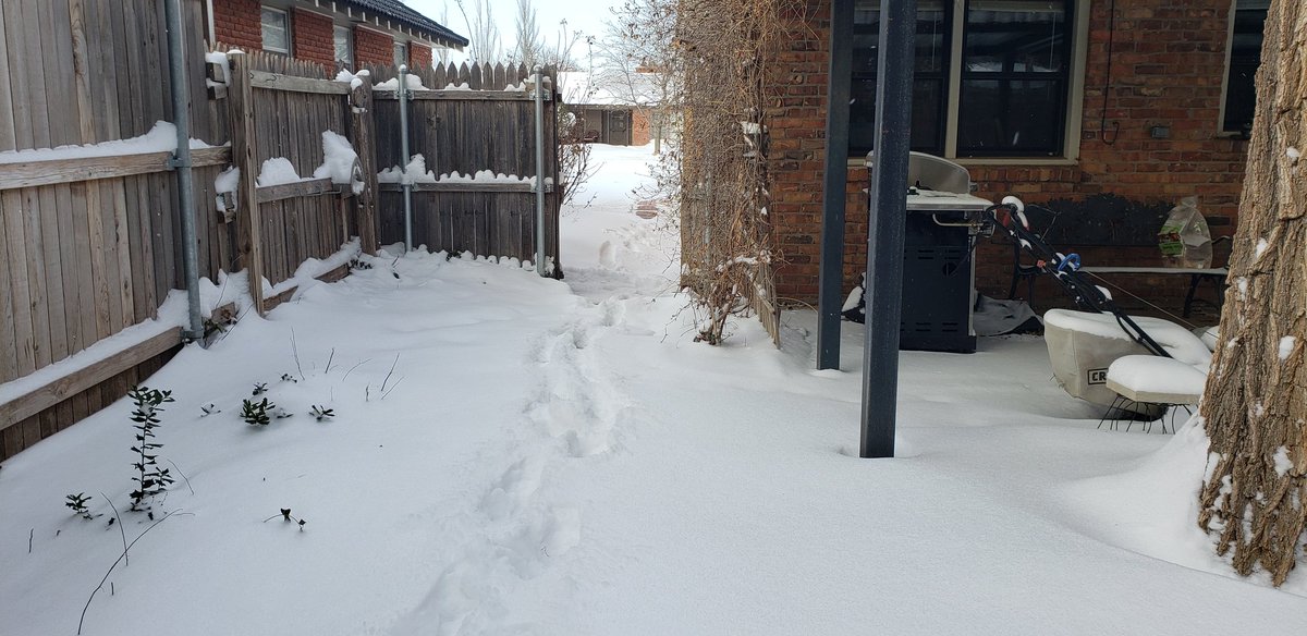 AMWWX's tweet image. Storm total snow: 5.7 inches
This amount was based on an average of several "represenative" measurements on the property. Snow drifts over 2 feet deep. @NWSAmarillo #phwx #txwx