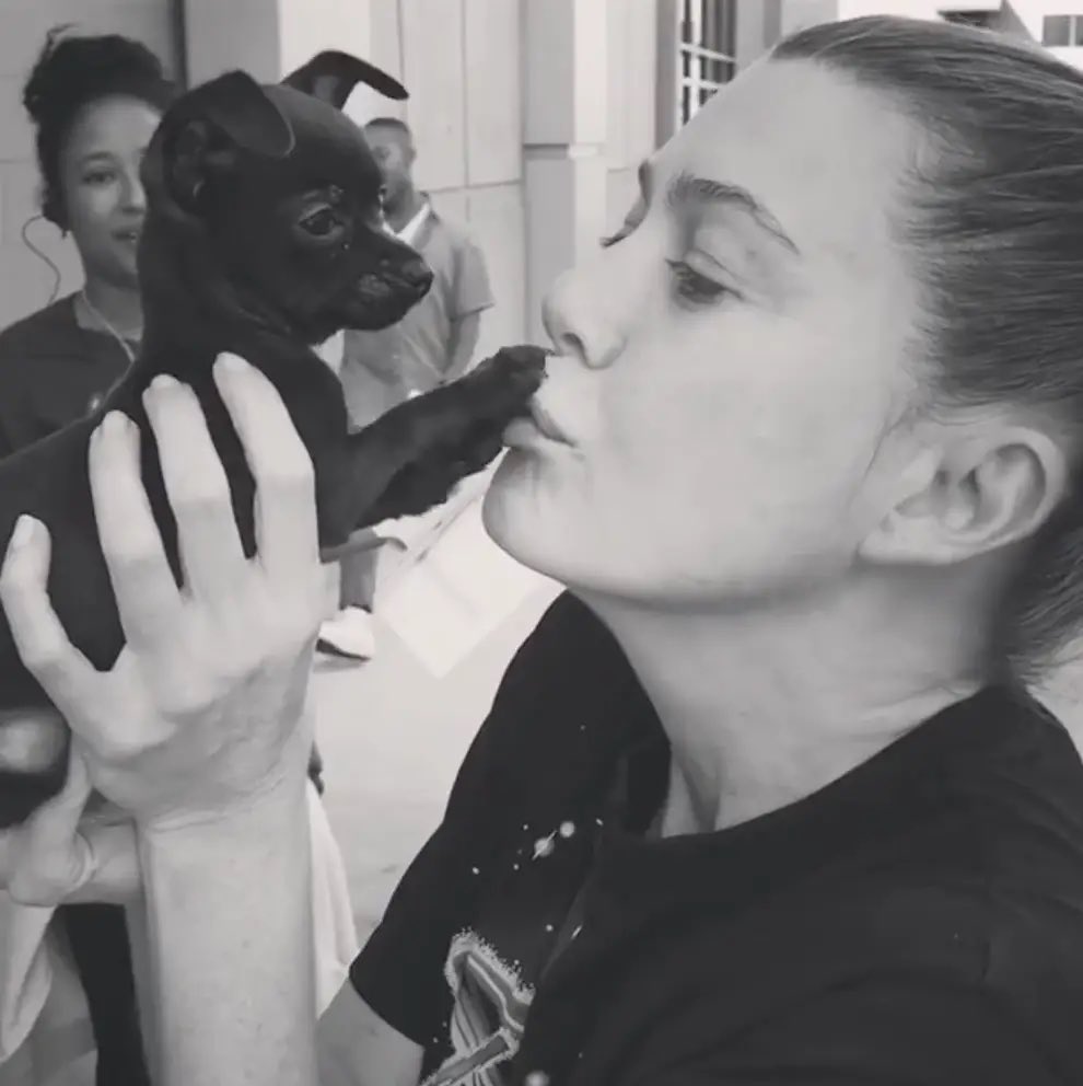 ᅟᅟ

thinking  i  should  just  get
mer  a  dog  of  her  own  so
she  doesn’t  have  to  steal
other  peoples .

<a href="/MeredithOfGrey/">Meredith</a> 

ᅟᅟ