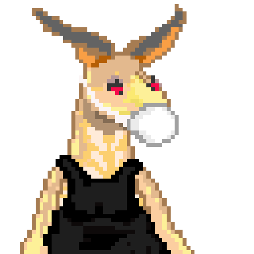 Kangaroo Crew tweet media