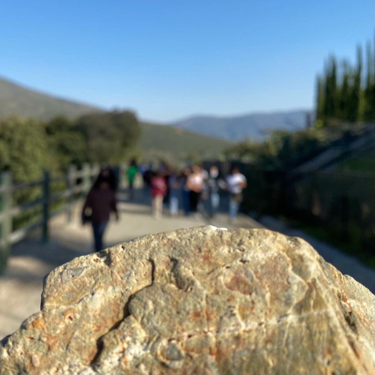 macias_science's tweet photo. On our nature rock walk we saw some strange things. Not sure where the 6 hot wheels cars came from or how the minion ended up on the trip but the millipede at the end of today was my favorite…😬oh yeah and I enjoy the students too… 😳#elmtritons https://t.co/sO07v91UJQ