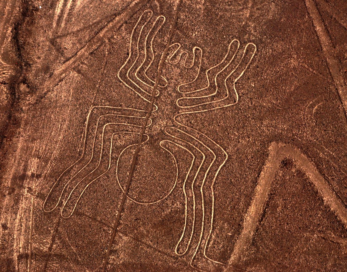 I've decided: The first learning stream will cover the nazca lines in Peru! Planning for Tuesday evening (2/8). https://t.co/ittIBcjwVq