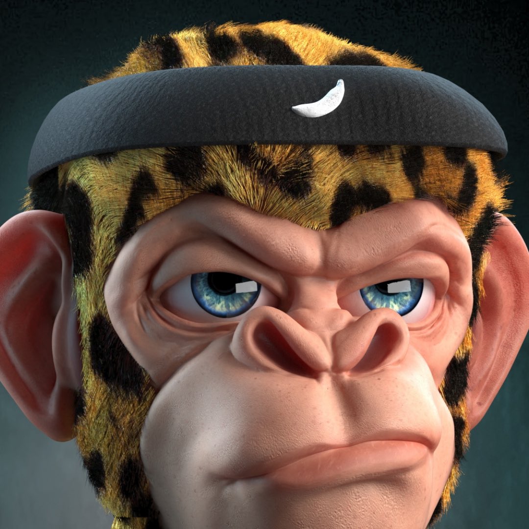 12 hours before the raffle opens 🚀

📝 Day09                        #NFTdrop