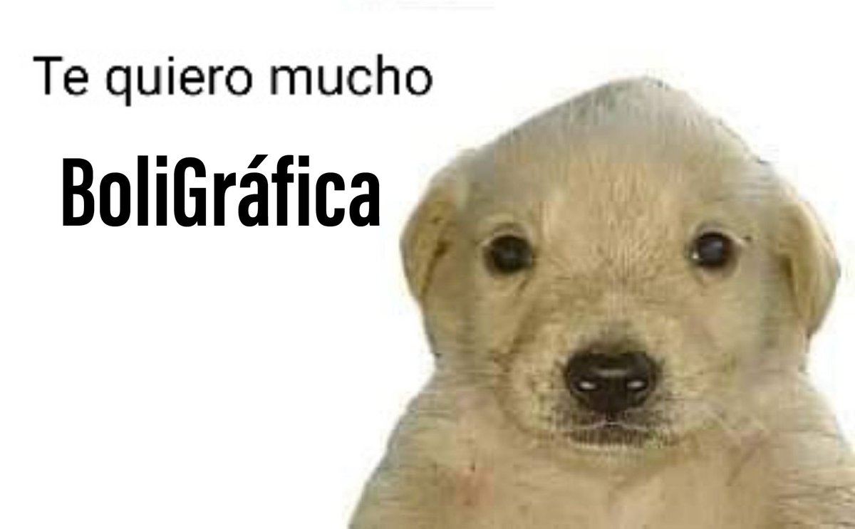 Nigel Caspa tweet media