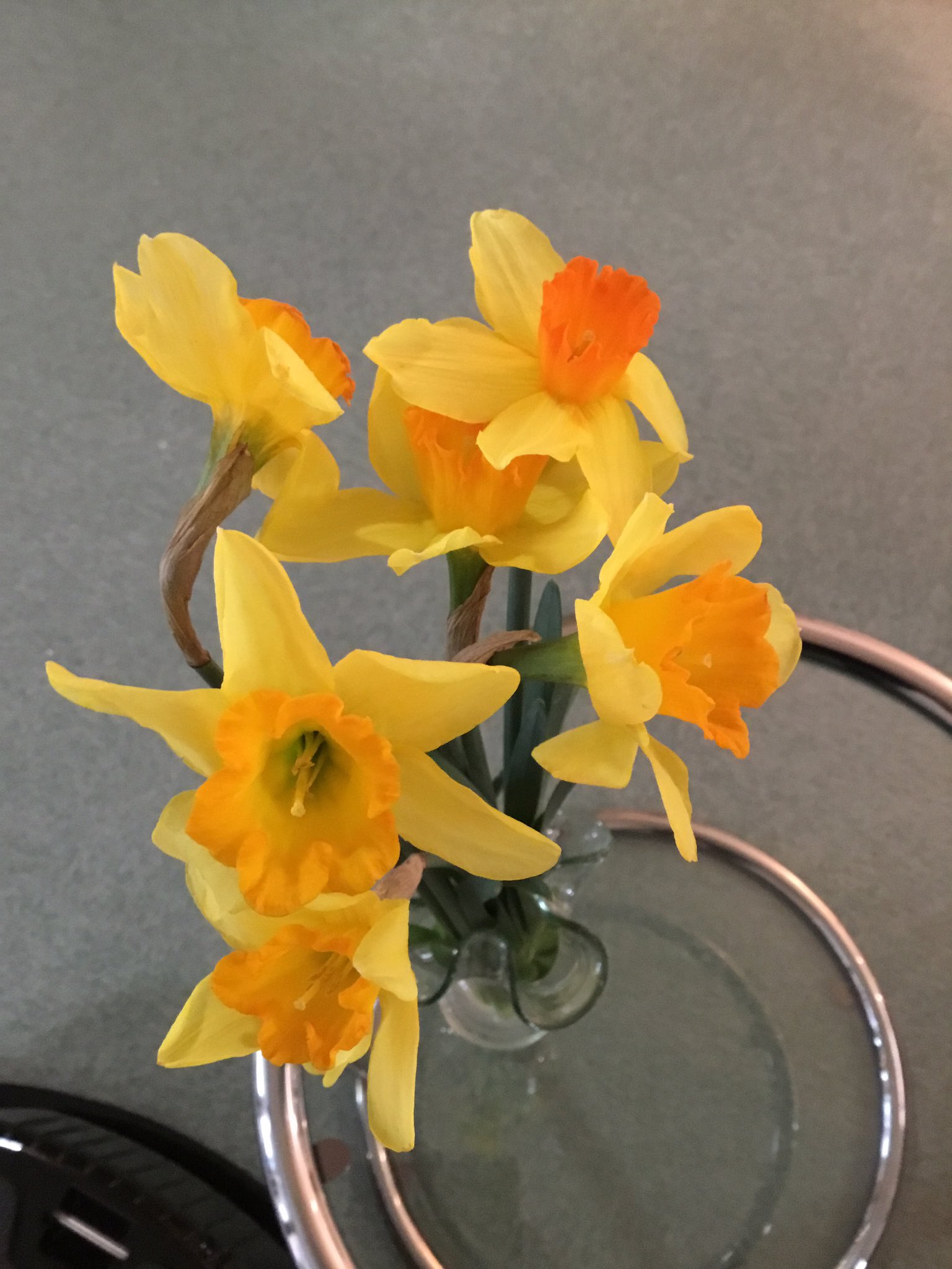 水仙の花 Twitter Search Twitter