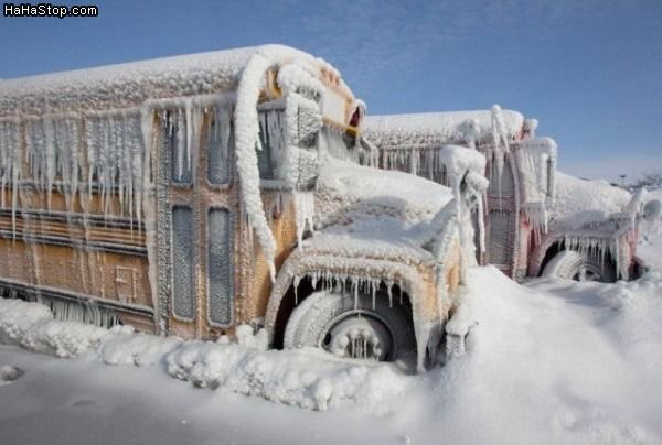 NO SCHOOL - Friday, February 4th -

Due to the predicted weather tomorrow and out of an abundance of caution, CREST will close all programs tomorrow.