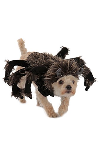 Princess Paradise Tarantula Dog Costume, Black, Small order.sale/RXwf (via Amazon)