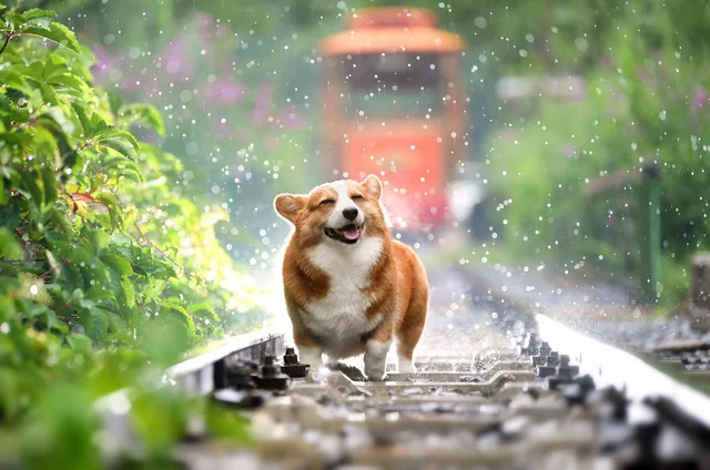 WholesomeMeme's tweet photo. https://t.co/fbpp66UXI5