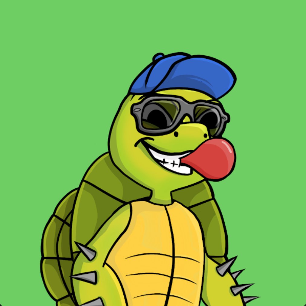 TurtleHeadNFT1's tweet photo. 🐢 Turtles are cuter than Apes aren't they?

Each Turtle Head is different and has unique traits that can't be duplicated.

https://t.co/W6lubmtoWr

#NFTdrop #nftpfp #NFT 
#NFTCollection #NFTCommmunity https://t.co/OjWBSbvUjY