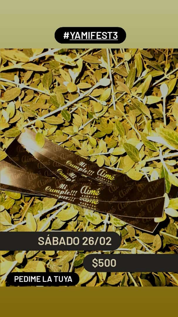 Me dicen por cucaracha que se va a picar..
#Yamifest3 🎉🍾📌