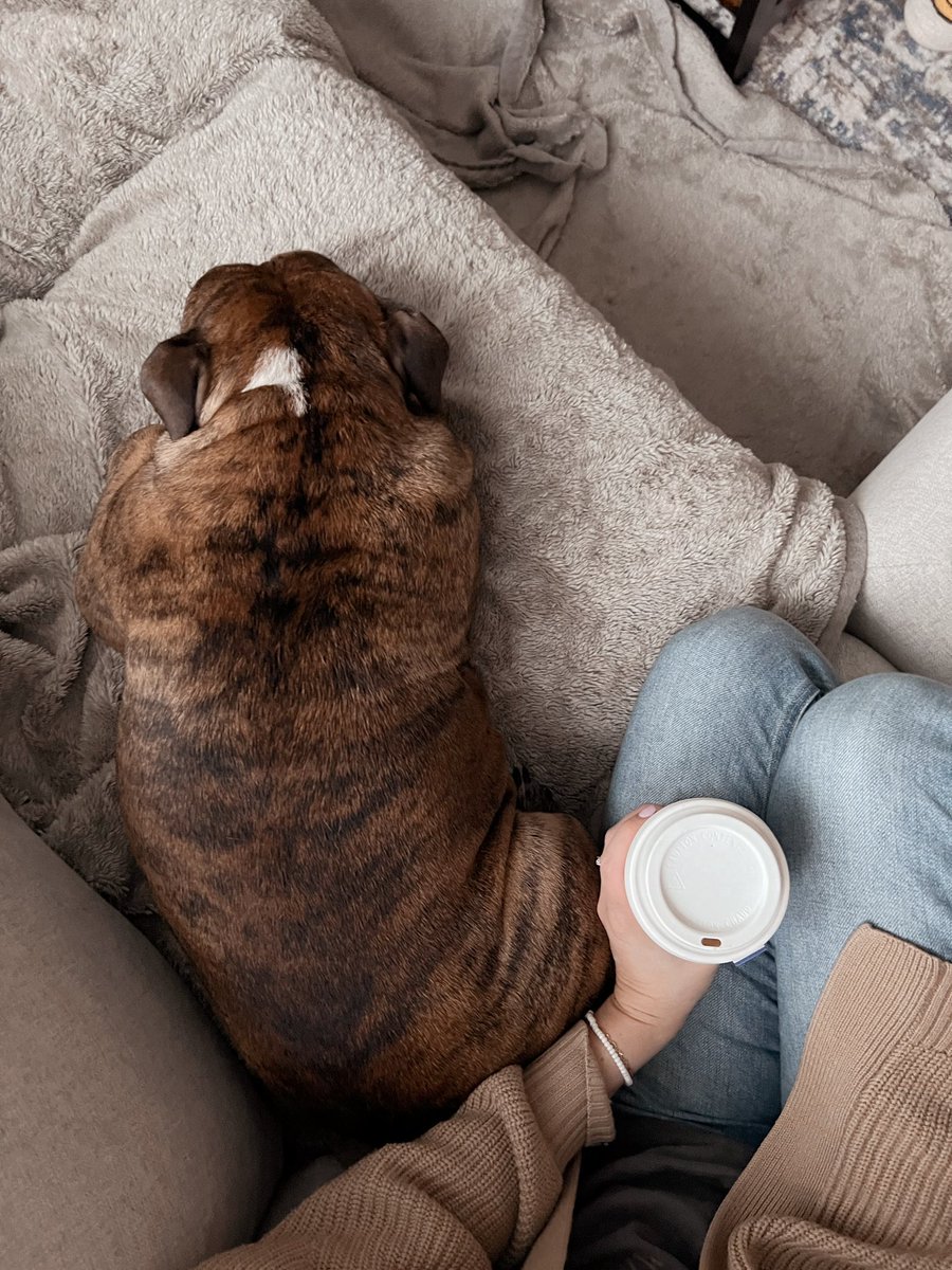 Favourite things, tea, book (on my <a href="/LibbyApp/">Libby, by OverDrive</a>) and endless bully snuggles😍