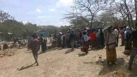 Wolloya1's tweet photo. TPLF's massacre and displacement of the Raya people continues today.  The government needs to improve its focus on the Raya people and take the necessary security measures.  International human rights organizations must condemn the atrocities committed against the people of Raya https://t.co/H9eJ82osKT