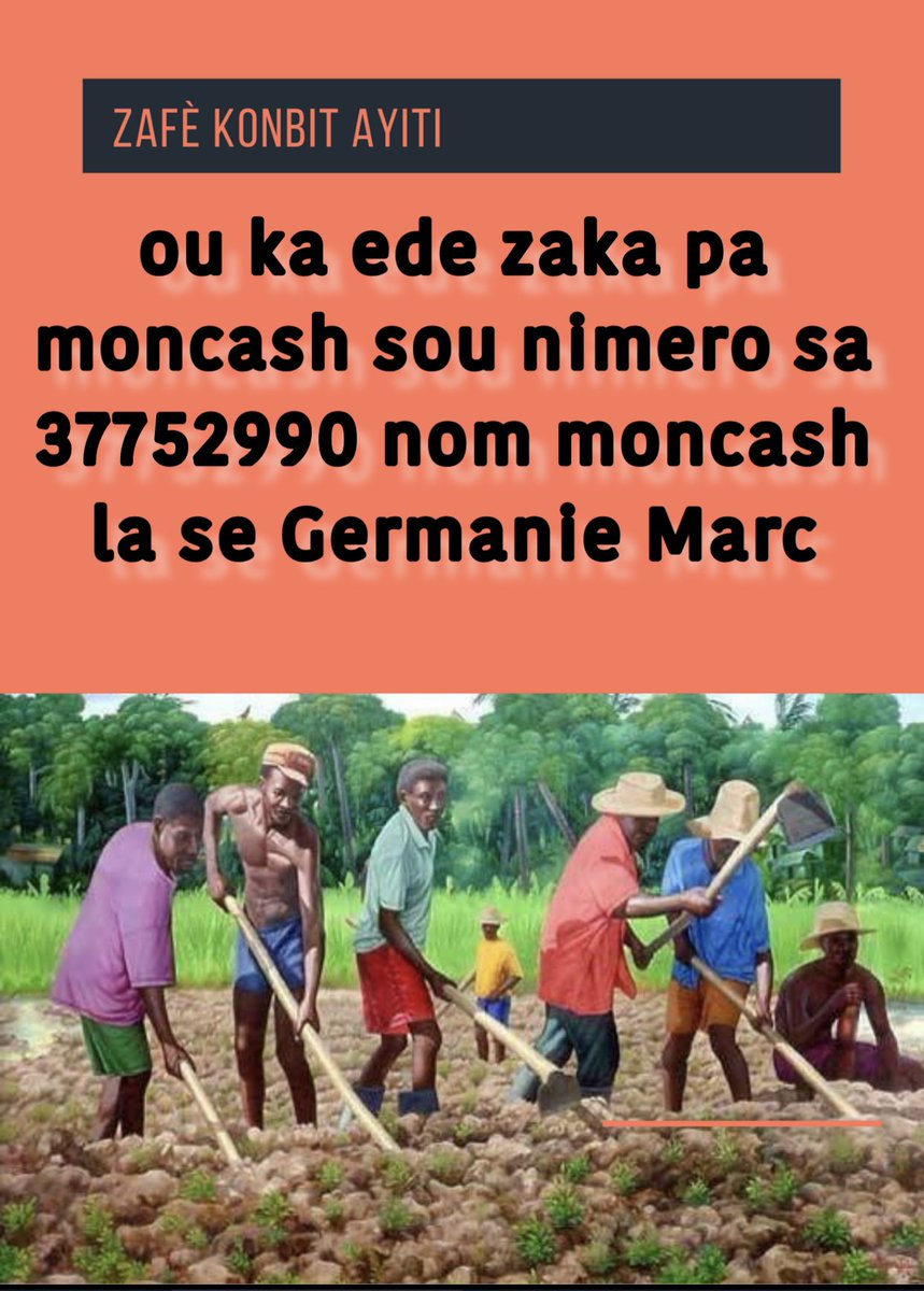 Zafè Konbit Ayiti tweet media