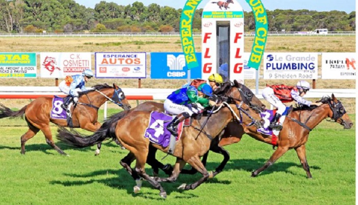 ozrace's tweet photo. Friday racing at Esperance... 

All the form now available from Ernie Manning 👉 https://t.co/ob1i8d6Kpc

#EsperanceRacing @theracesWA @TAB_touch
#WARacing https://t.co/gykJTssHXP