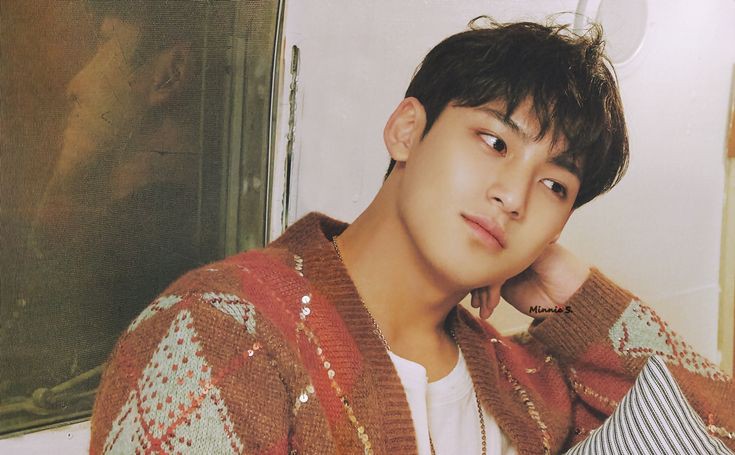 kmgplanet's tweet photo. this mingyu radiates the calm &amp; warm boyfriend vibes! https://t.co/BGNN4c78cx