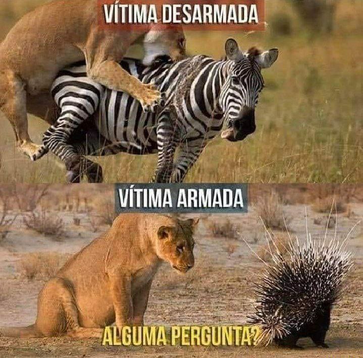 ANCAPBALL - BR (@ancapball_br) on Twitter photo 