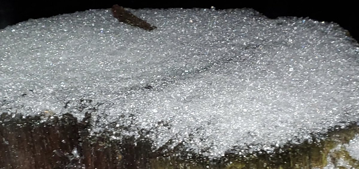 Brian B Mr 1015 tweet media