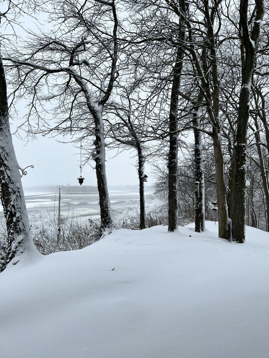 What a beautiful day to be snowed ❄️ in. #lifeontheriver