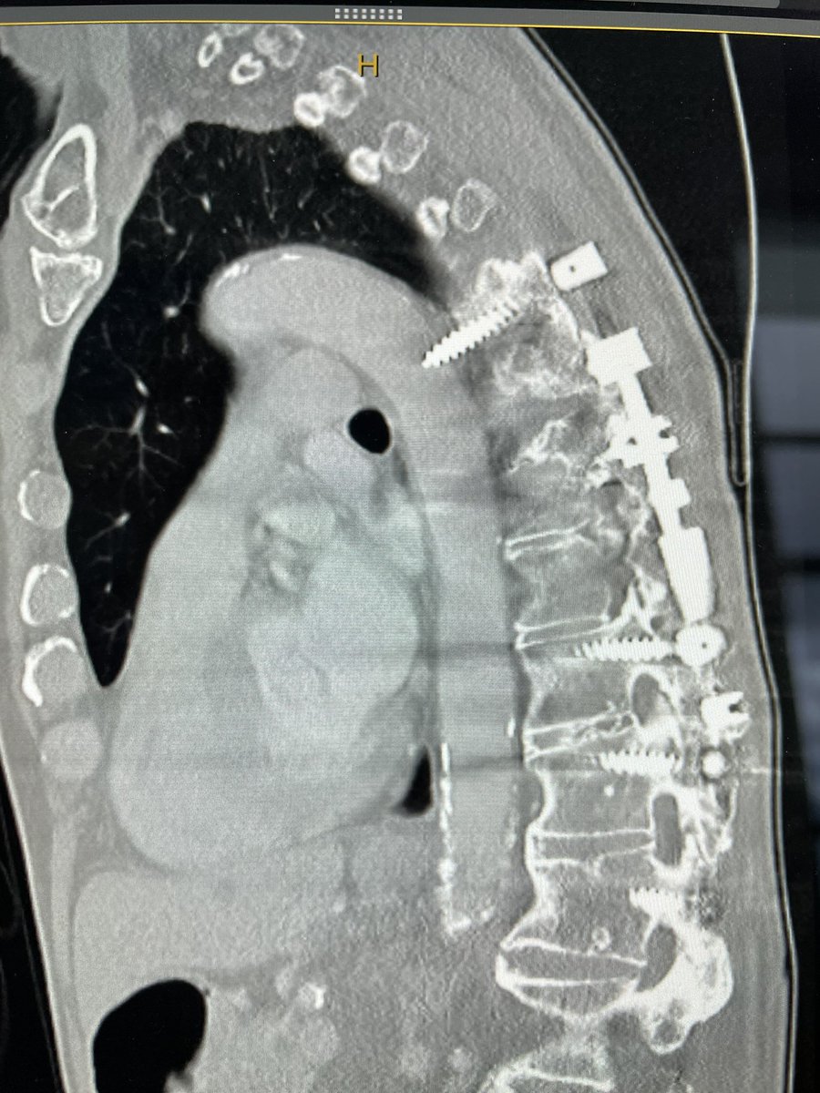 Prof Ramesh K Tripathi tweet media