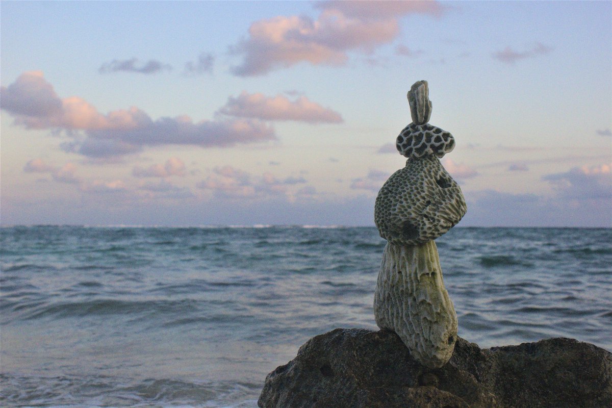 First #NFT photo just listed on #OpenSea 

#nftart #NFTs #NFTCommunity #nftcollector #NFTcollection #NFTcollections #openseanft #nftdrop #nftdrops #nftart #nftartwork #etheriumnft #nfts #etherium #airdrop #airdrops #nftetherium
#eth #etheriumnft

opensea.io/collection/bal…