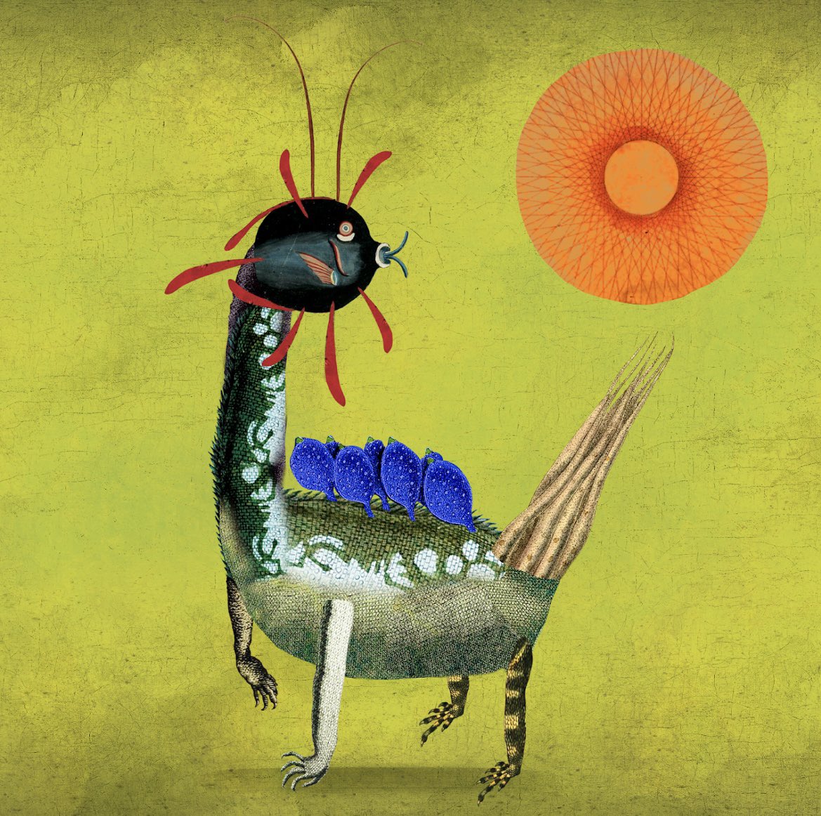 The Impossible Creatures