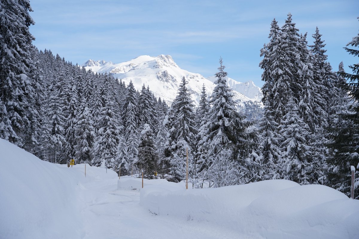 StantonReview's tweet photo. Ein magischer Ort für Ruhesuchende.
📍Verwalltal in #stantonamarlberg 
📷 Suggi - #arlberg #winterliebe #verwalltal #austria https://t.co/tq8F5fPWm0