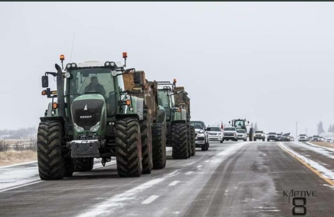 Inconforme75's tweet photo. Buenos días,
Alberta (🇨🇦Canada): La policía está pidiendo grúas para que remolquen a los camiones que bloquean la frontera con los Estados Unidos. Aparecen las grúas… ¡¡¡Pero no solo se niegan a remolcar los camiones, sino que se unen al convoy!!! 🤣 https://t.co/Zb885jrL0k