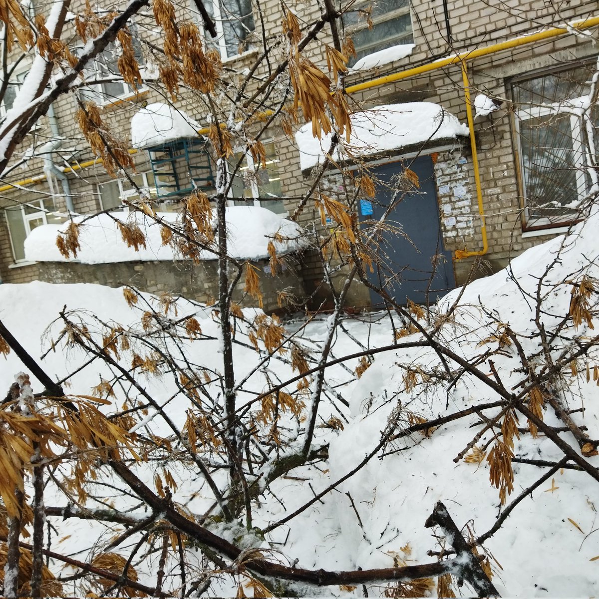 Не все равно что и как.... tweet media