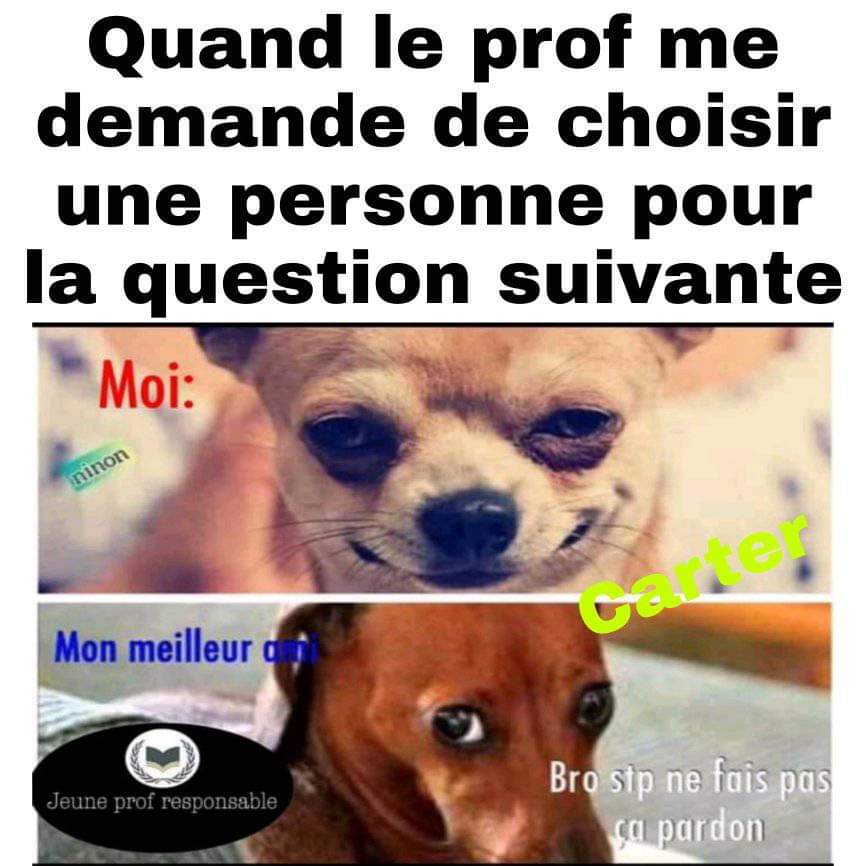 dxdx_b's tweet image. 