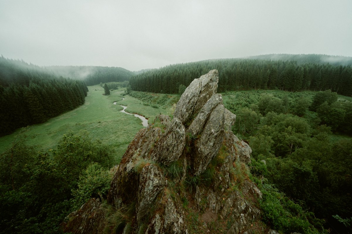 johannes hoehn 🧢 @pangea tweet media