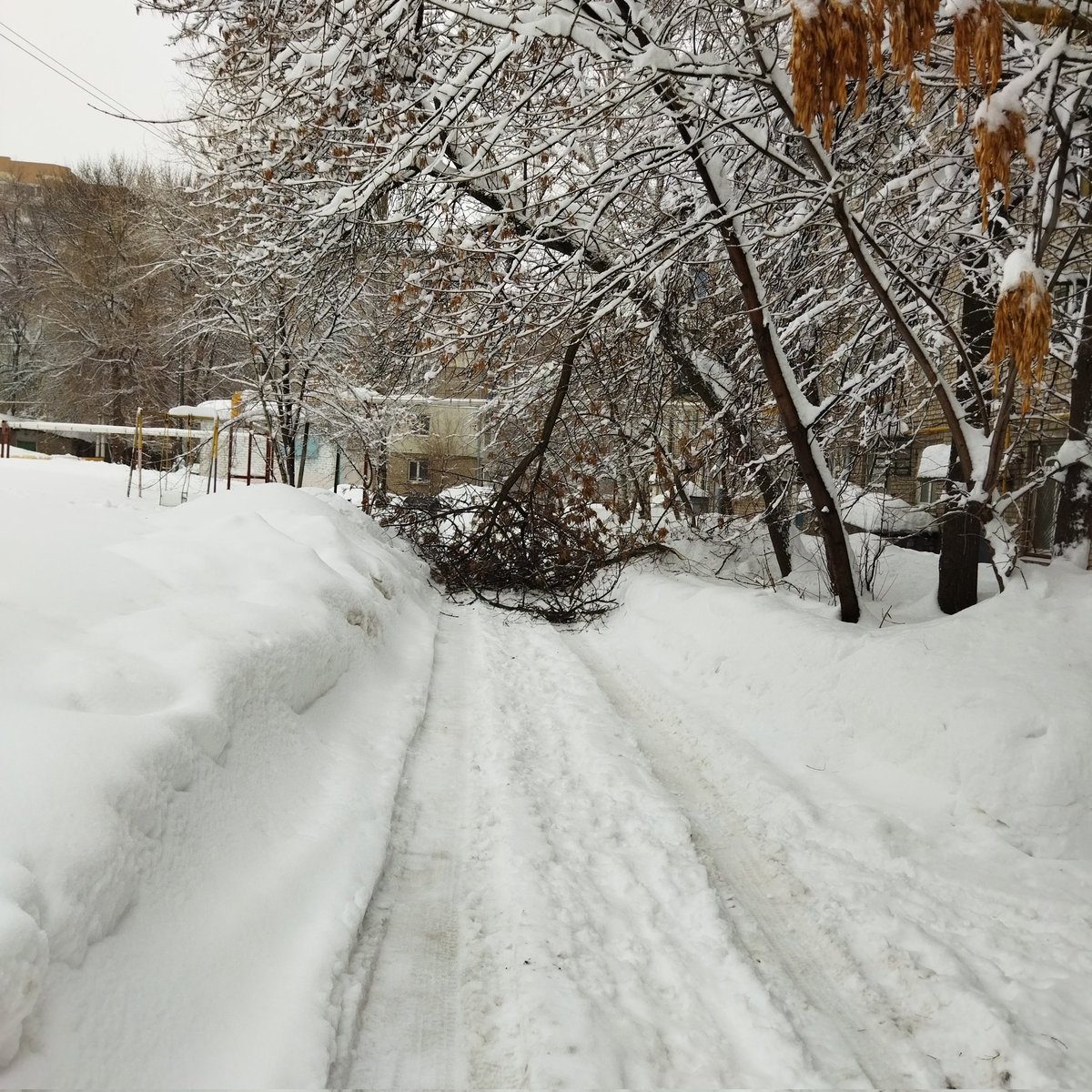 Не все равно что и как.... tweet media