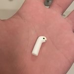 AirPodsと間違えて…チンアナゴを持ってきてしまったw
