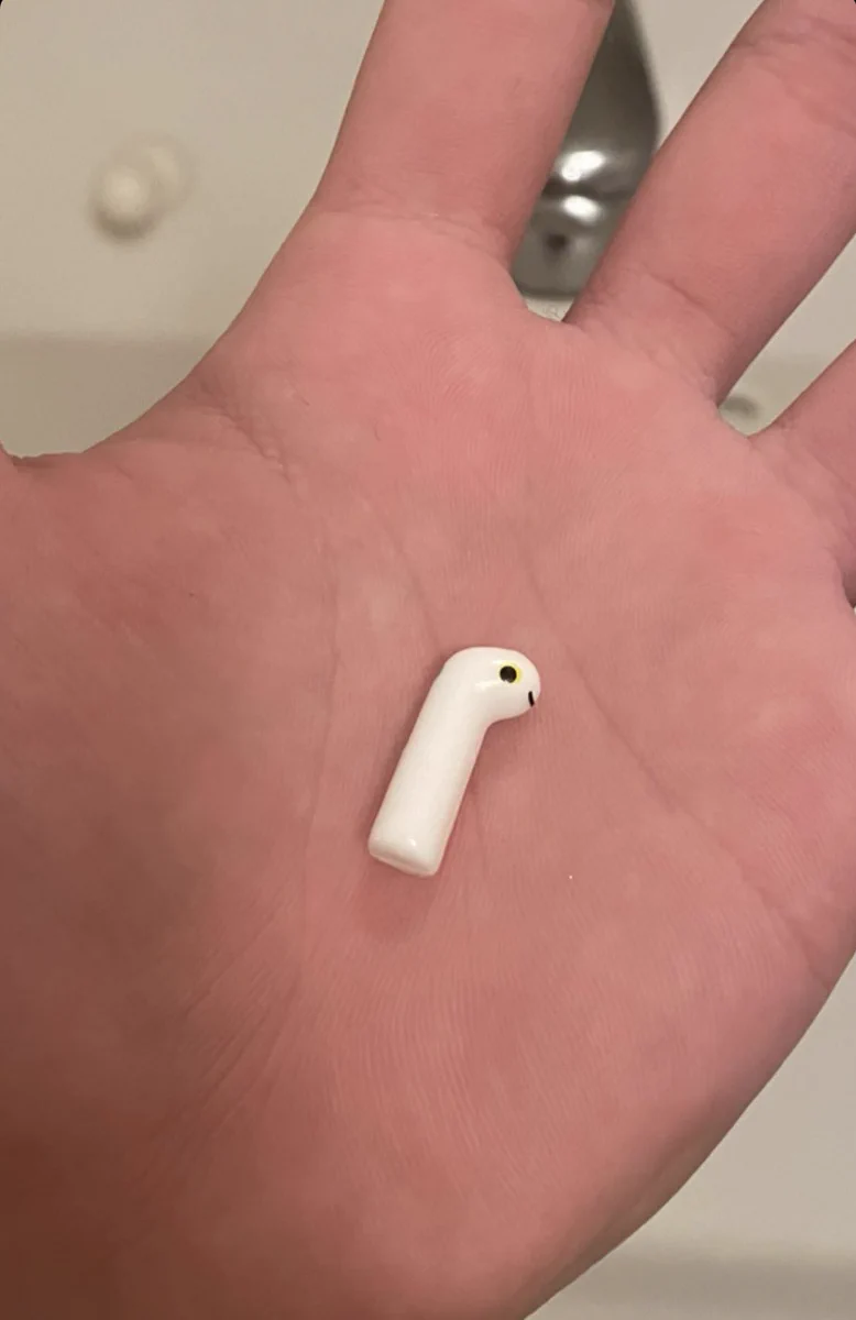 AirPodsと間違えて…チンアナゴを持ってきてしまったw