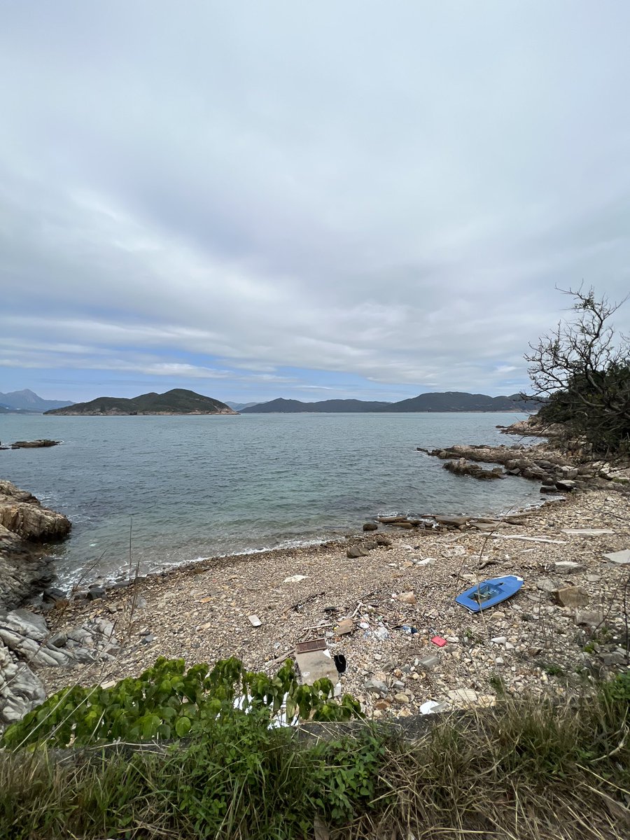 #fishyfriday trash free Friday greeting from Hong Kong  <a href="/fishyfamNFT/">Fishy Fam</a>