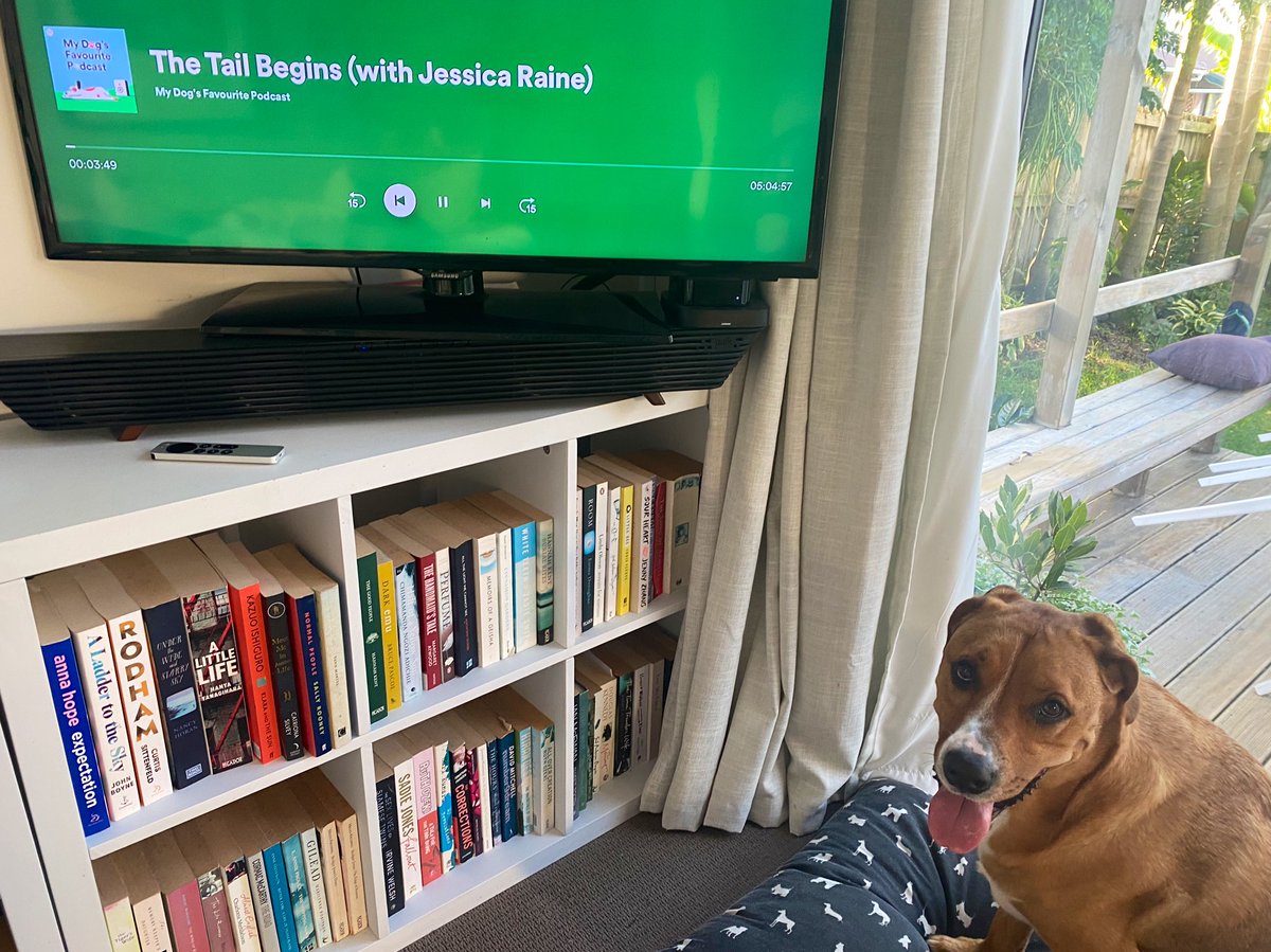 We’re dining out, so Albus will chill with Spotify’s least problematic podcast, ‘My Dog’s Favourite Podcast.’

It’s basically hours of Jenny from Call the Midwife and Finch from The Office (UK) telling your dog how great they are. 

(And saying words they like the sound of.) https://t.co/gTZbzioNTu