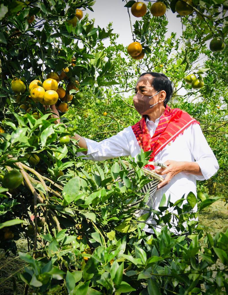 Awal Desember 2021 lalu, saya menerima perwakilan warga Liang Melas Datas, Kab. Karo, di Jakarta. Mereka datang menyampaikan aspirasi terkait jalan rusak di daerah mereka, juga membawa oleh-oleh satu truk buah jeruk.

Hari ini, giliran saya yang berkunjung ke Liang Melas Datas.