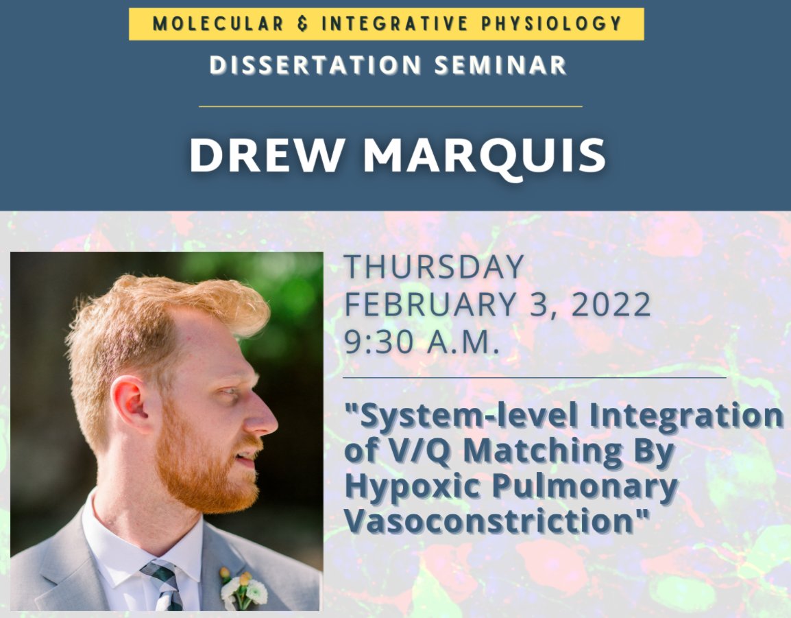 Dan Michele tweet media