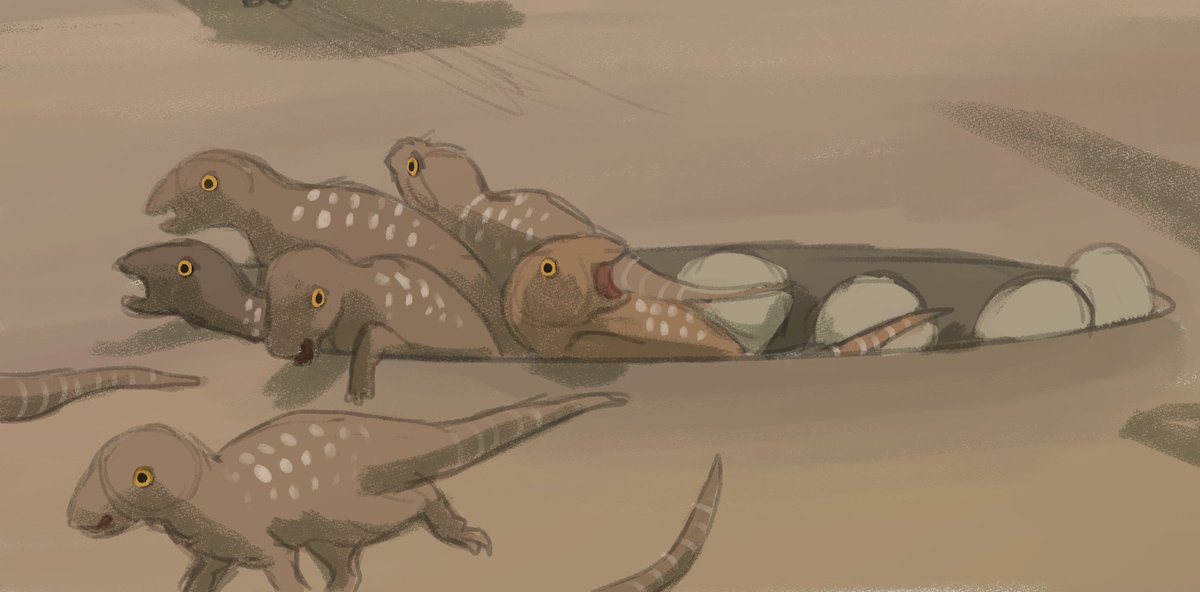 amberghiniiii's tweet photo. what are these babies running from? wrong answers only https://t.co/oeAl2H5zs2