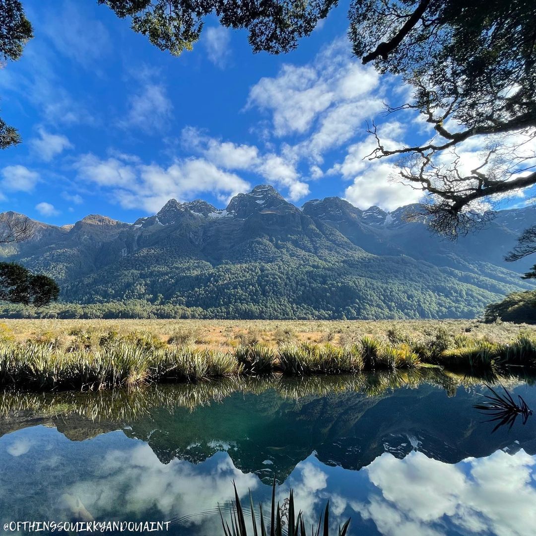 Fiordland_NZ's tweet photo. What have you got planned for the long weekend?
Is it spending time in Te Anau? Or exploring Piopiotahi Milford Sound? 🌿
Discovering Manapouri, cruising Patea Doubtful Sound? 🚢 Or wandering a Great Walk? 🥾
📸 ofthingsquirkyandquaint
#fiordland #waitangiweekend #TeAnauTime https://t.co/1tTpwlNZhc