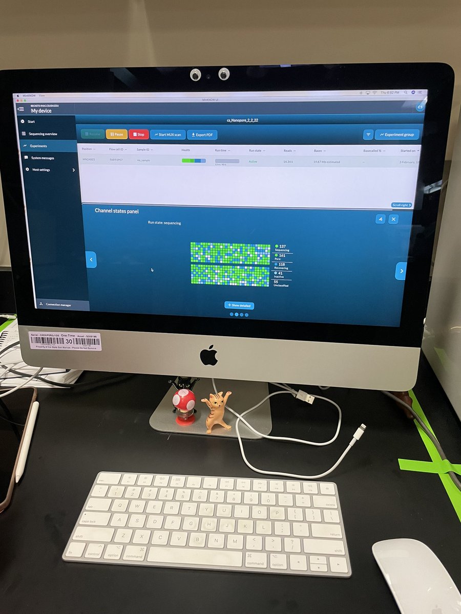 Ciara Sanders (@cisanders) on Twitter photo First ever <a href="/nanopore/">Oxford Nanopore</a> lib prep and sequencing run completely led by me!!! I’m proud and sweaty!! First ever <a href="/nanopore/">Oxford Nanopore</a> lib prep and sequencing run completely led by me!!! I’m proud and sweaty!!