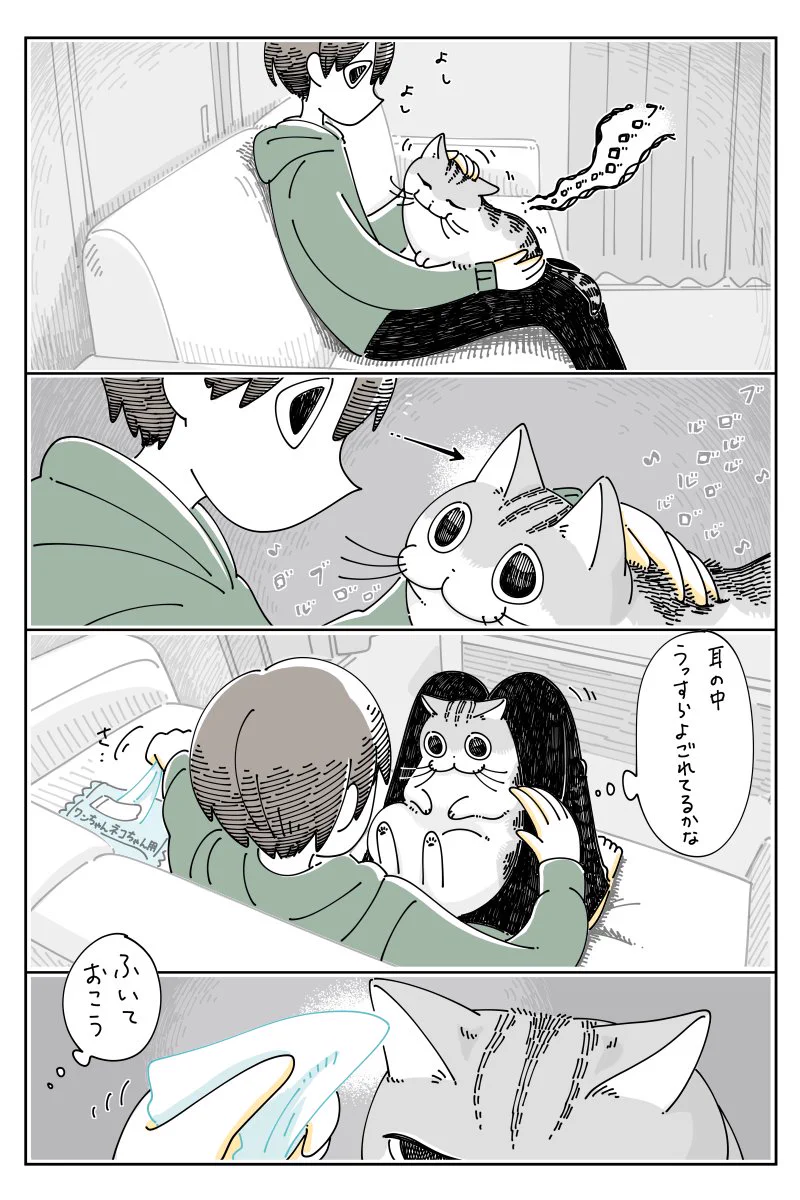 耳をたたんだり、差し出したりする仕草が可愛い！猫の耳をお掃除する様子を描いた漫画が話題に！